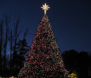Rockdale County Annual Tree Lighting December 6th